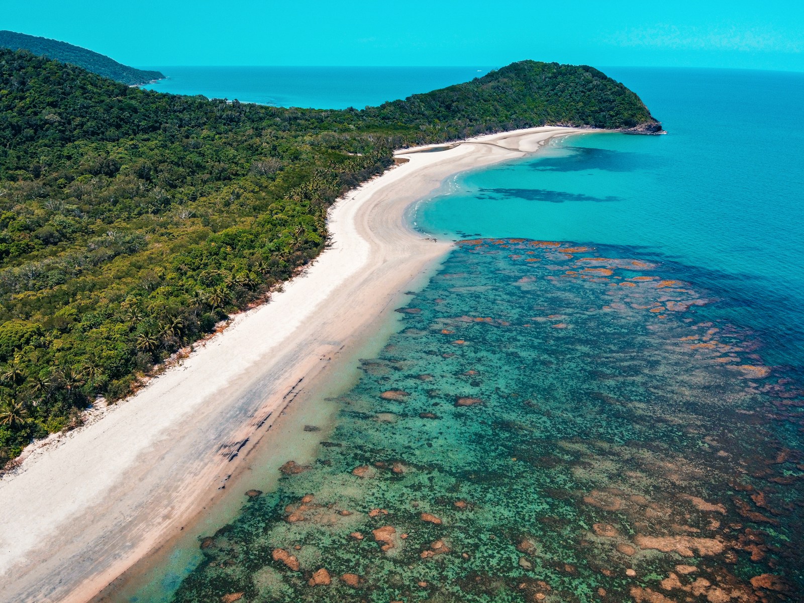 green trees beside blue sea during daytime. Great Barrier Reef