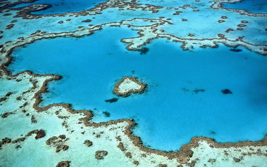 aerial photography of Great Barrier Reef